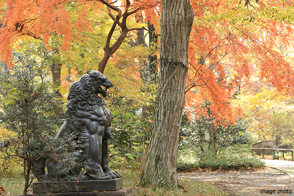 井の頭恩陽公園｜武蔵野タワーズ