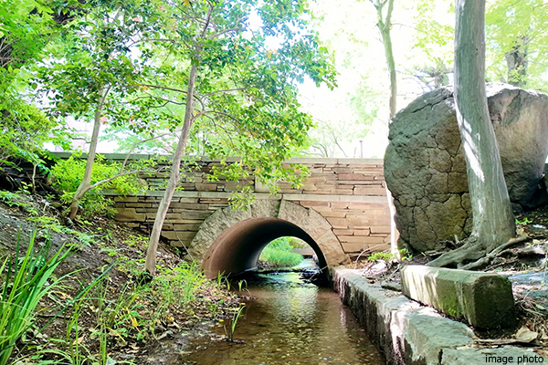玉川上水｜武蔵野タワーズ