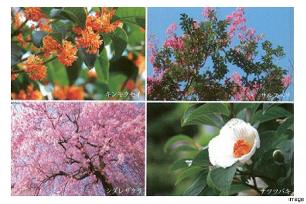 植栽計画｜武蔵野タワーズ