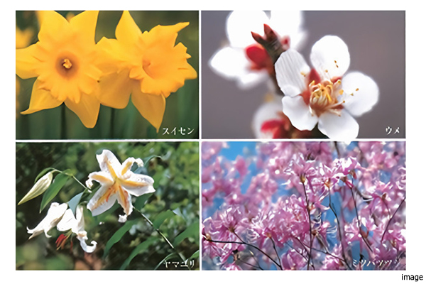 植栽計画｜武蔵野タワーズ